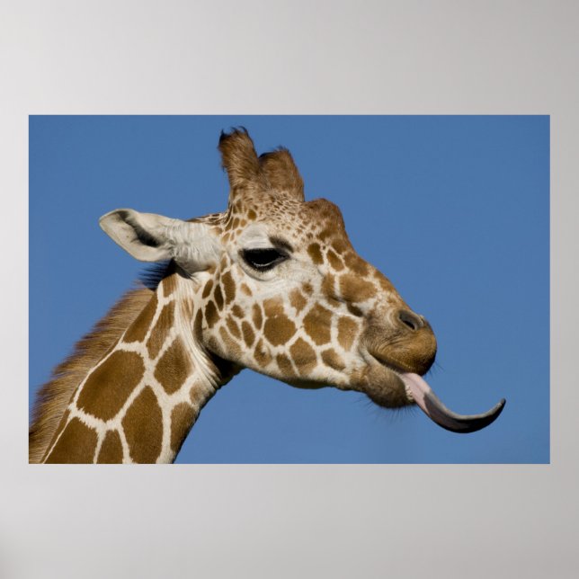 Bleeeh Poster (Front)