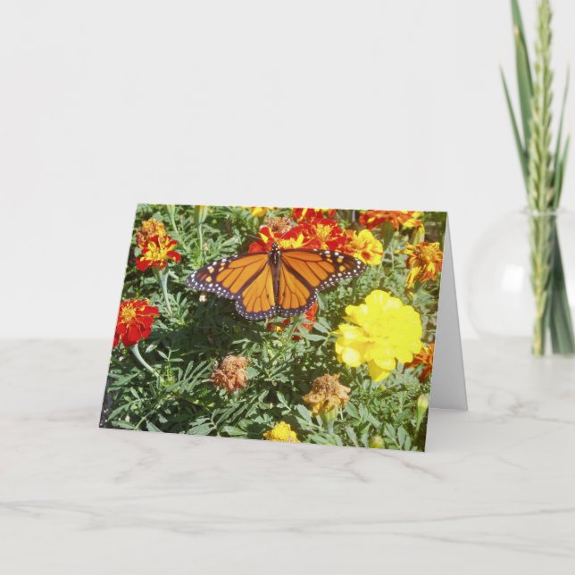 "Blending In" Get Well Card (Front)