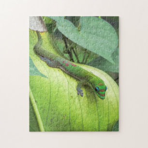 Blending In Jigsaw Puzzle
