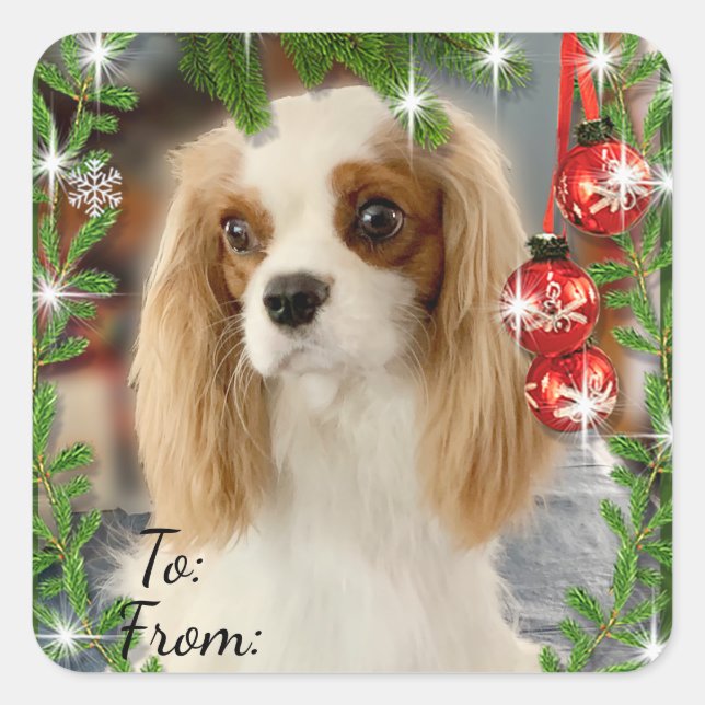 Blenheim Cavalier Christmas Gift Tag Sticker (Front)