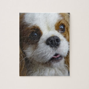 Blenheim Cavalier King Charles Photo Puzzle