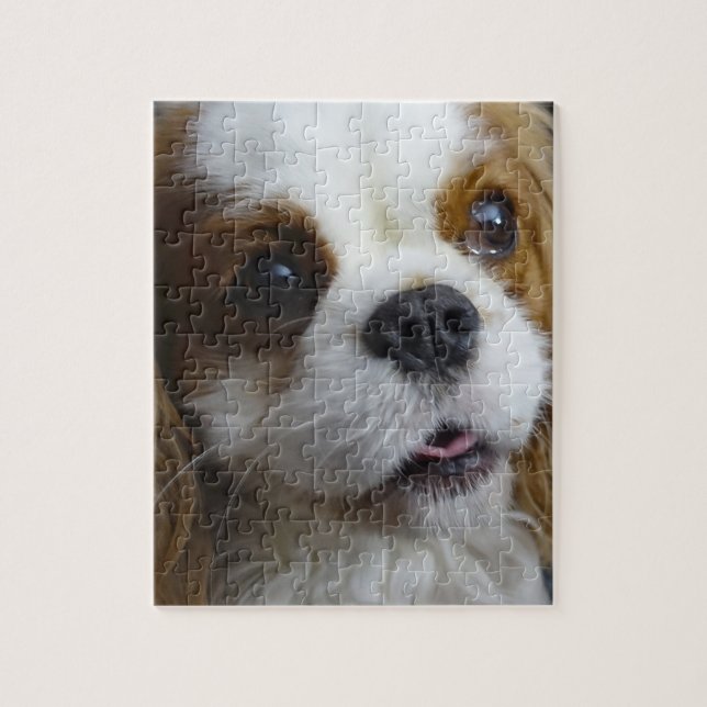 Blenheim Cavalier King Charles Photo Puzzle (Vertical)
