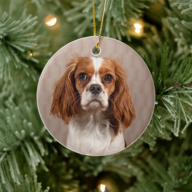 Blenheim Cavalier King Charles Spaniel Dog Ceramic Ornament (Tree)
