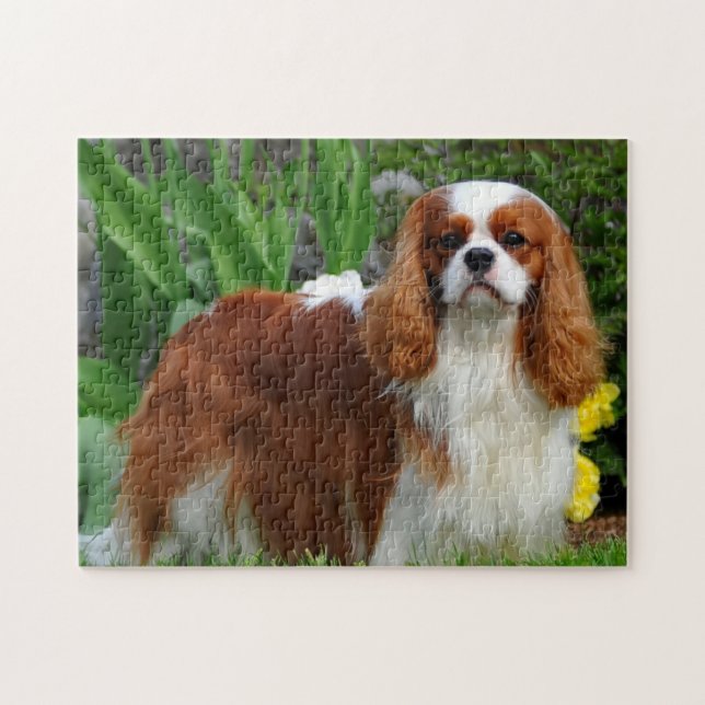 Blenheim Cavalier King Charles Spaniel Dog Jigsaw Puzzle (Horizontal)