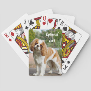 Blenheim Cavalier King Charles Spaniel Dog Playing Cards