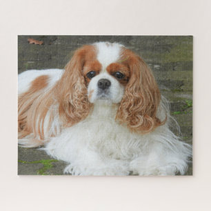 Blenheim Cavalier King Charles Spaniel Puppy Dog J Jigsaw Puzzle