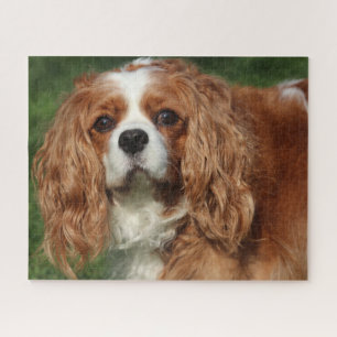 Blenheim Cavalier King Charles Spaniel Puppy Dog Jigsaw Puzzle
