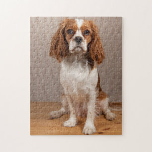 Blenheim Cavalier King Charles Spaniel Puppy Dog Jigsaw Puzzle