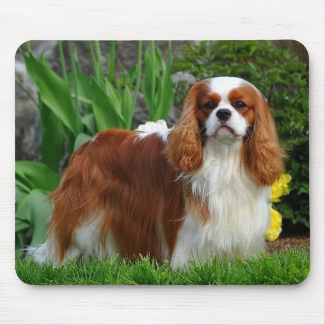 Blenheim Cavalier King Charles Spaniel Puppy Dog Mouse Pad (Front)