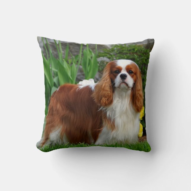 Blenheim Cavalier King Charles Spaniel Puppy Dog Throw Pillow (Front)
