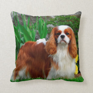 Blenheim Cavalier King Charles Spaniel Puppy Dog Throw Pillow