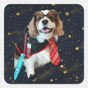 Blenheim Cavalier King Charles Wizard Square Stick Square Sticker