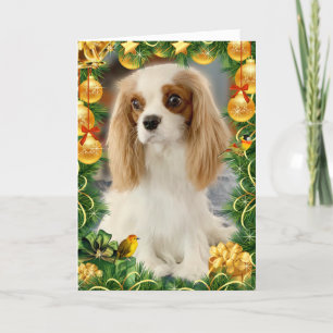 Blenheim Cavalier Spaniel Holiday Card