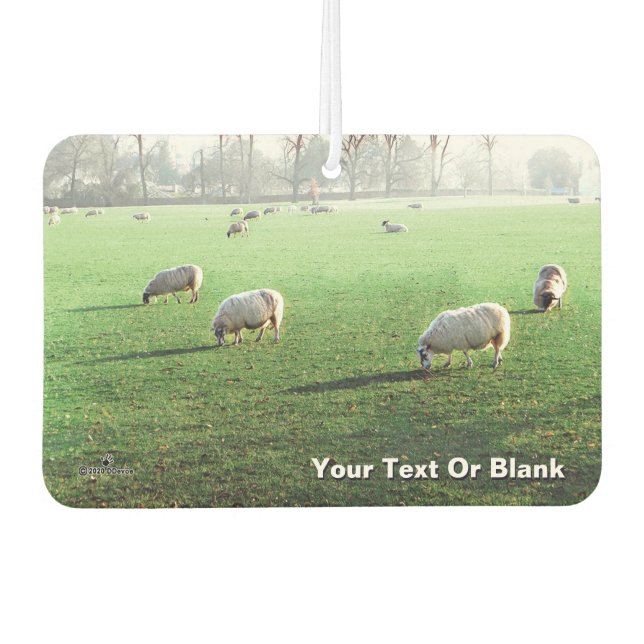 Blenheim Palace Sheep Air Freshener (Front)