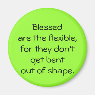 Blessed Are The Flexible Magnet
