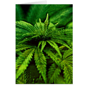 Blessed Be Weed Green