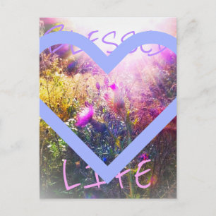 Blessed Life postcard