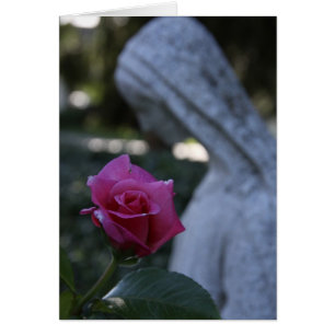 Blessed Mary & the Rose