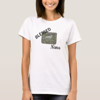 Blessed Nana White Egret Nature Photo