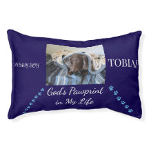 Blessed Pawprint Resting Place