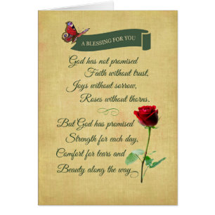 Blessing, Red Rose, Butterfly