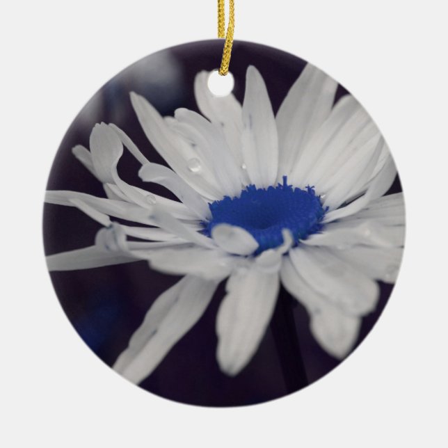 Bleu Centre Daisy Ornement Fleur (Devant)