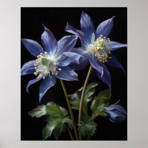 Bleu Columbine Fleurs Art Imprimer Poster