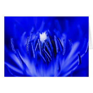 Bleu d'À l'intérieur-UN-Fleur