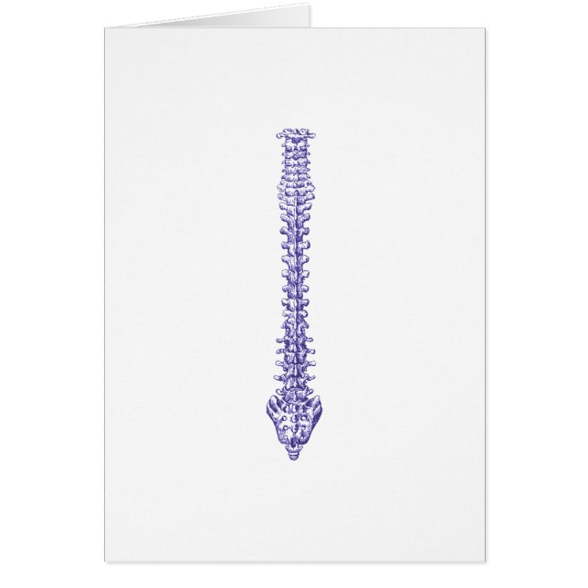 Bleu d'épine (Devant)