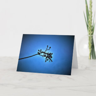 Bleu d'hiver, carte