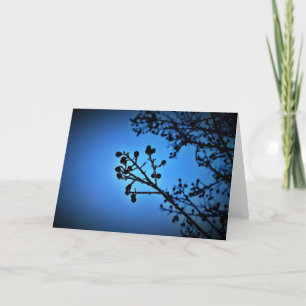 Bleu d'hiver, carte