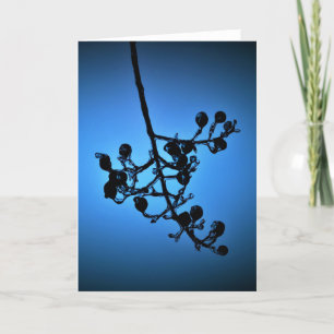 Bleu d'hiver, carte