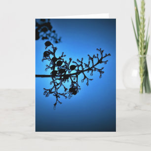 Bleu d'hiver, carte