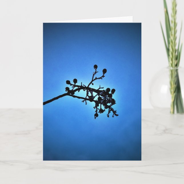 Bleu d'hiver, carte (Devant)