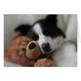 Bleu et ours
