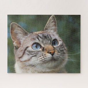 Bleu Eyed Tabby Cat Jigsaw Puzzle