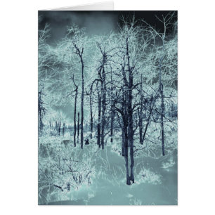 Bleu glace