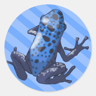 Bleu grenouille à tarte (mise à jour) Autocollant 