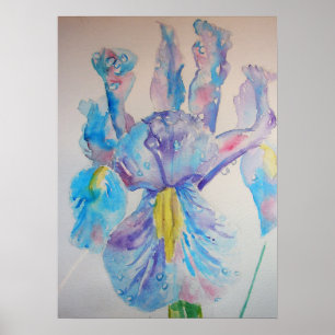 Bleu Iris Irises Floral Flowers Aquarelle Poster