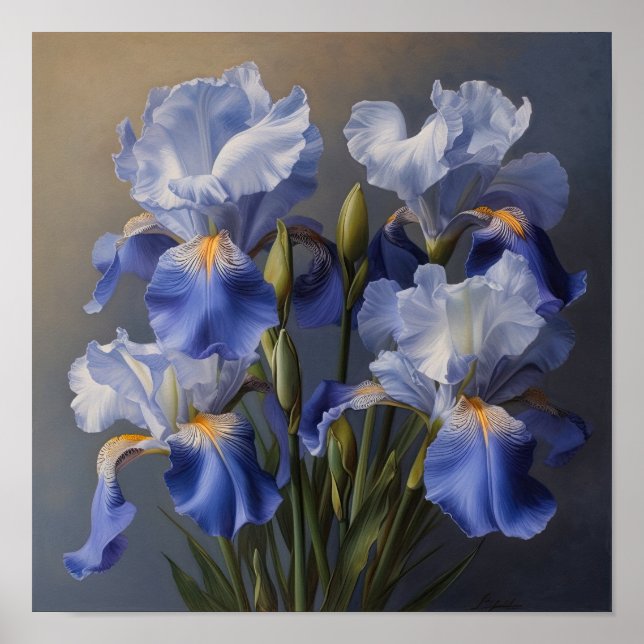 Bleu Irises Fleur Art Imprimer Poster (Devant)