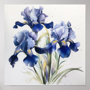 Bleu Irises Fleur Art Imprimer Poster