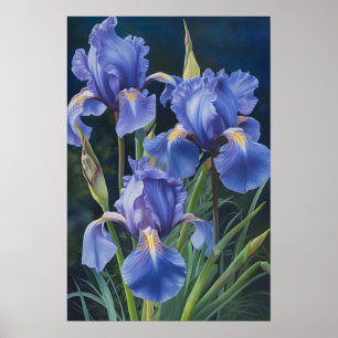 Bleu Irises Fleur Art Imprimer Poster
