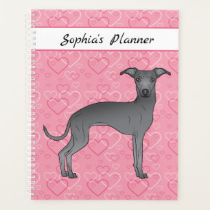 Bleu Italien Greyhound Chien mignon Sur Coeur Rose