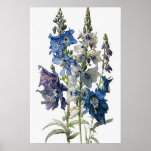 Bleu Larkspur Flower Art Imprimer Poster