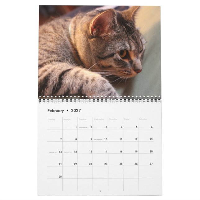 Bleu le chat - Calendrier 2021 (Feb 2027)