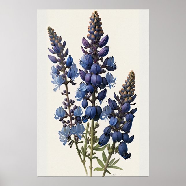 Bleu Lupine Flower Art Imprimer Poster (Devant)