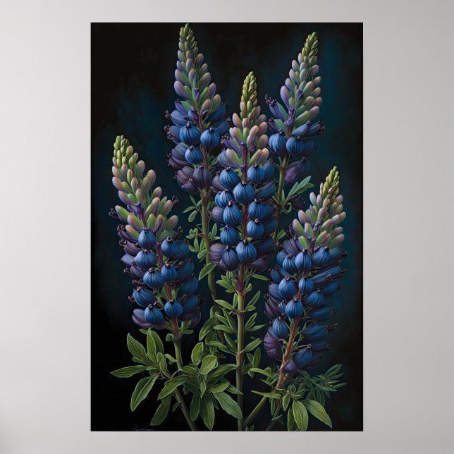 Bleu Lupine Flower Art Imprimer Poster (Devant)