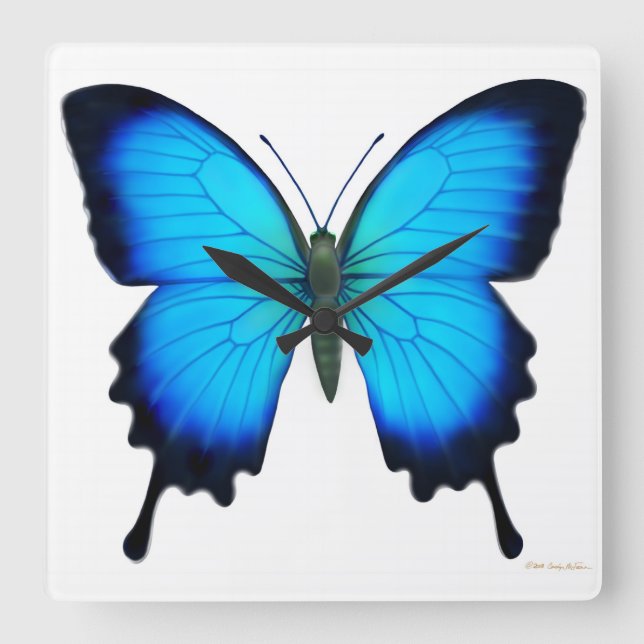 Bleu Papilio Ulysse Butterfly Horloge murale (Recto)