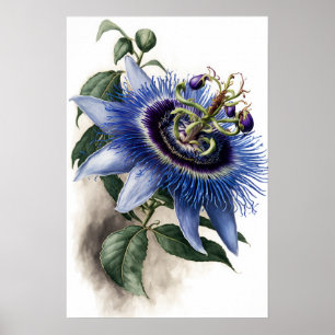 Bleu Passion Flower Art Imprimer Poster