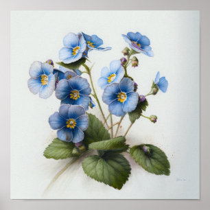 Bleu Primrose Fleurs Art Imprimer Poster